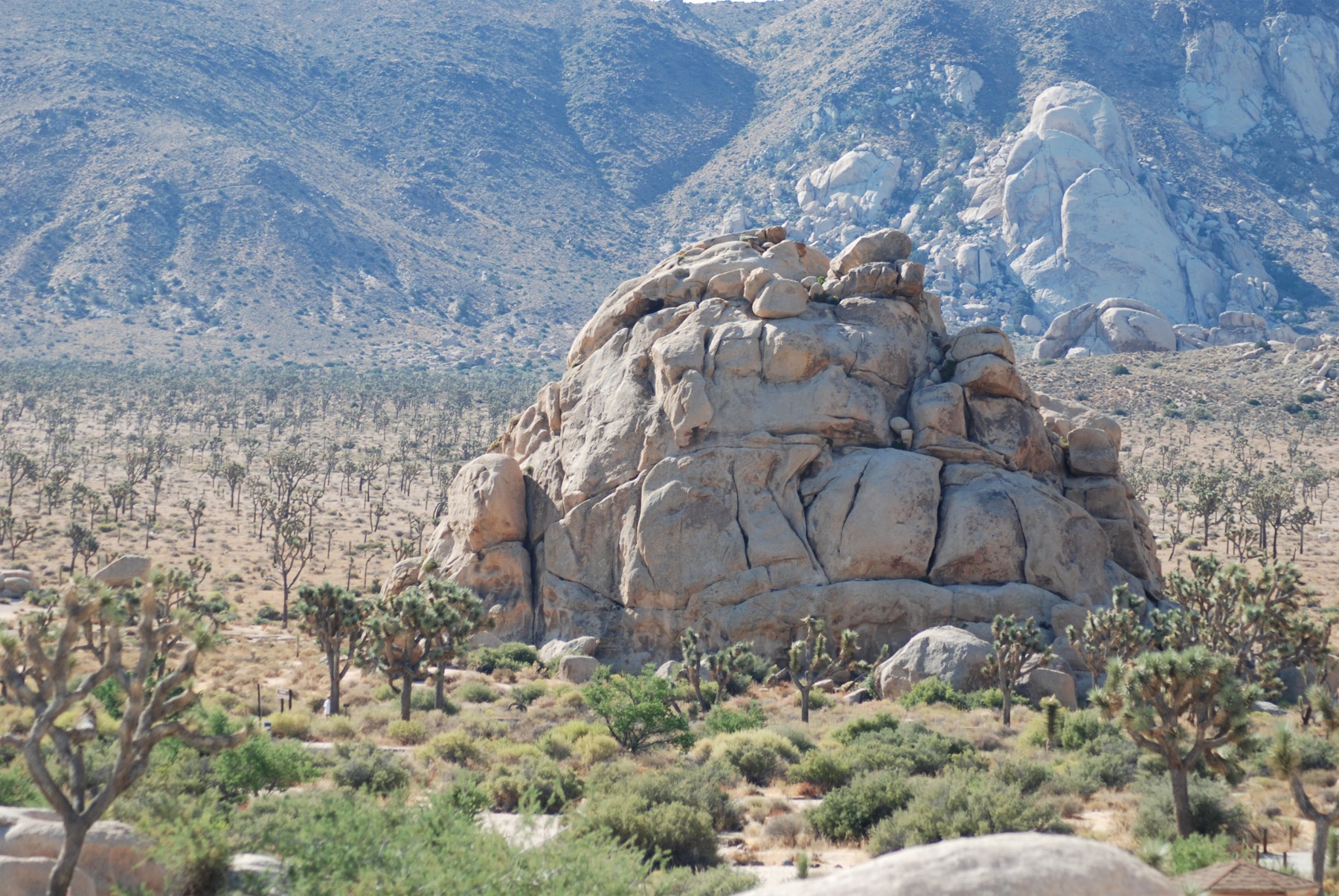 Joshua Tree National Park, CA