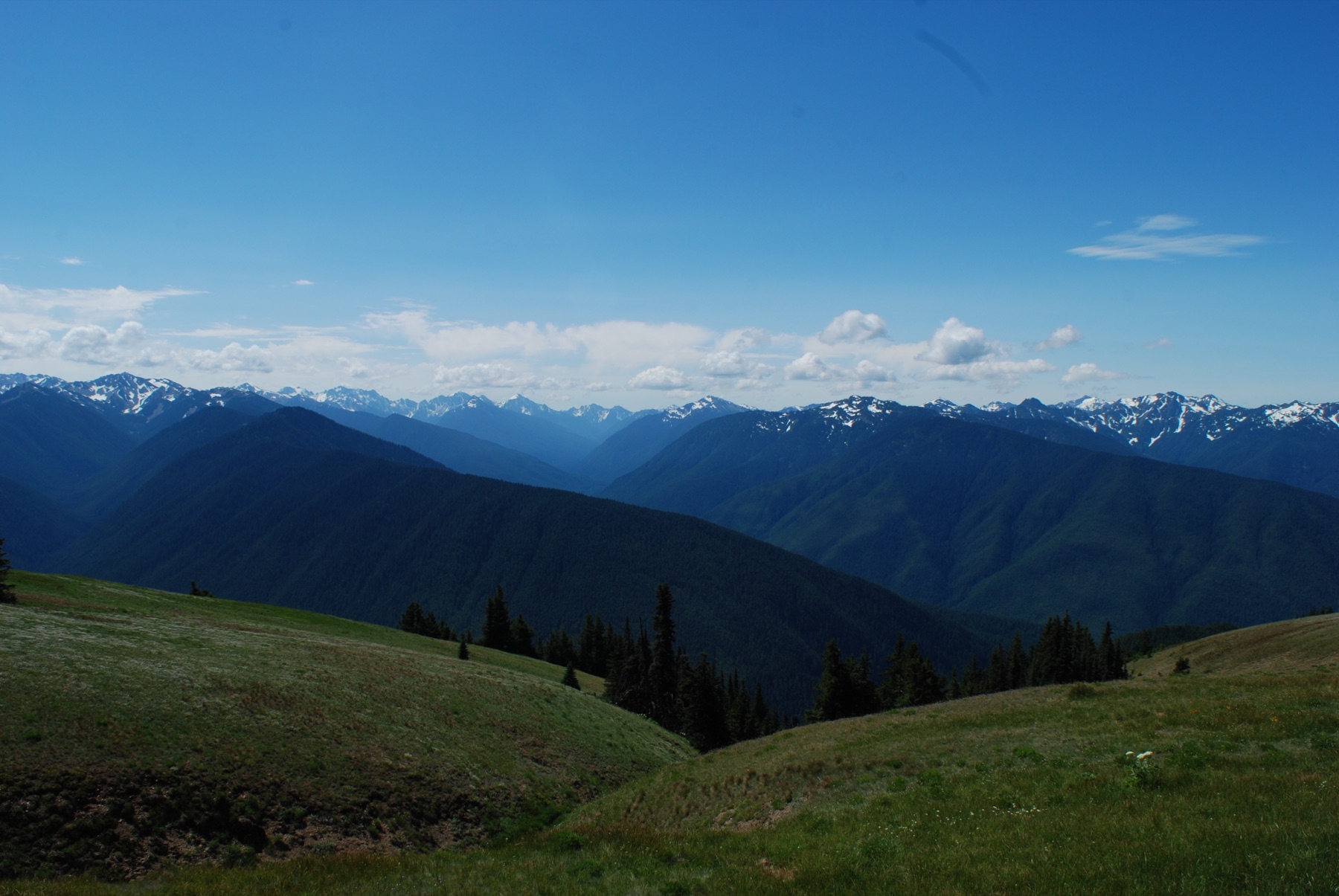 Olympic National Park, WA